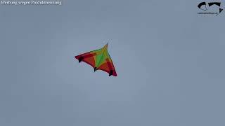 Spiderkites Concord Delta - Delta Einleiner für Leichtwind