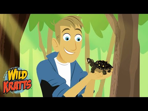 Martin's Secret to Naming Baby Animals | Season 7 | Animals for Kids | Wild Kratts