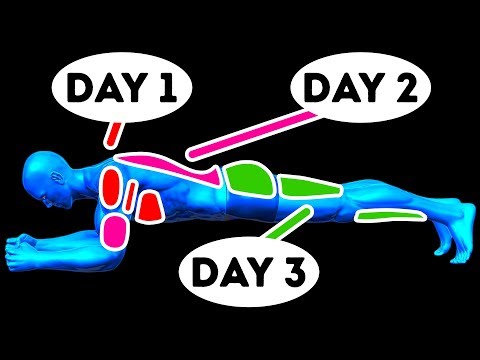 6 Muscles You Should Train Together to Get Bulky Fast