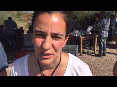 MDZ Online - profesores de Pedro Aznar cuentan detalles de su incursión en el mundo del vino