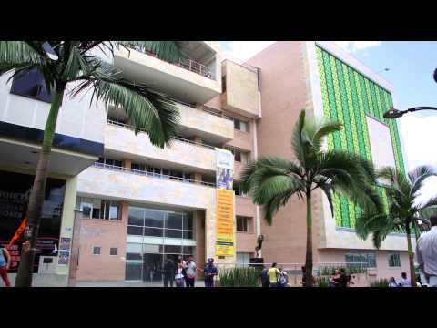 EXTERNOS 20 AÑOS FUNDACIÓN UNIVERSITARIA DEL ÁREA ANDINA