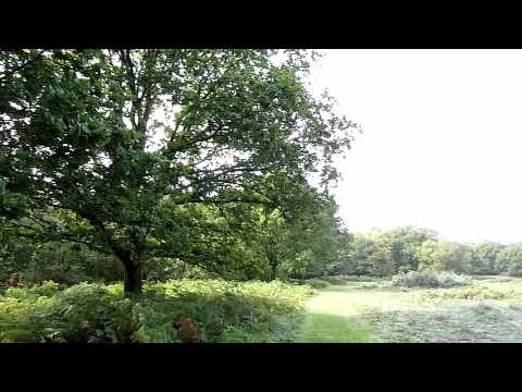 Weekend Walk 19 - Selborne