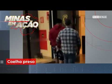 "Coelho" preso em BH - Jornal Minas