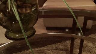 Edens edge cover of liar