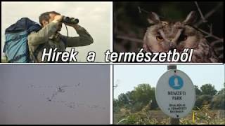 HÍREK A TERMÉSZETBŐL