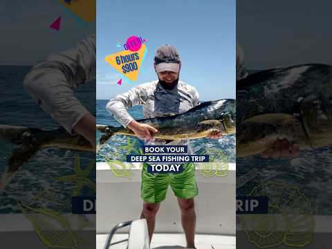 Deep sea fishing in the Atlantic Ocean, Punta Cana