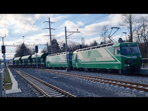 MBC Ge 4/4 mit Rollbockzug durchfahrt in Bussy-Chardonney