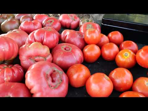 Meeting thumbnail