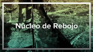 Vídeo de Concentradora GD3030