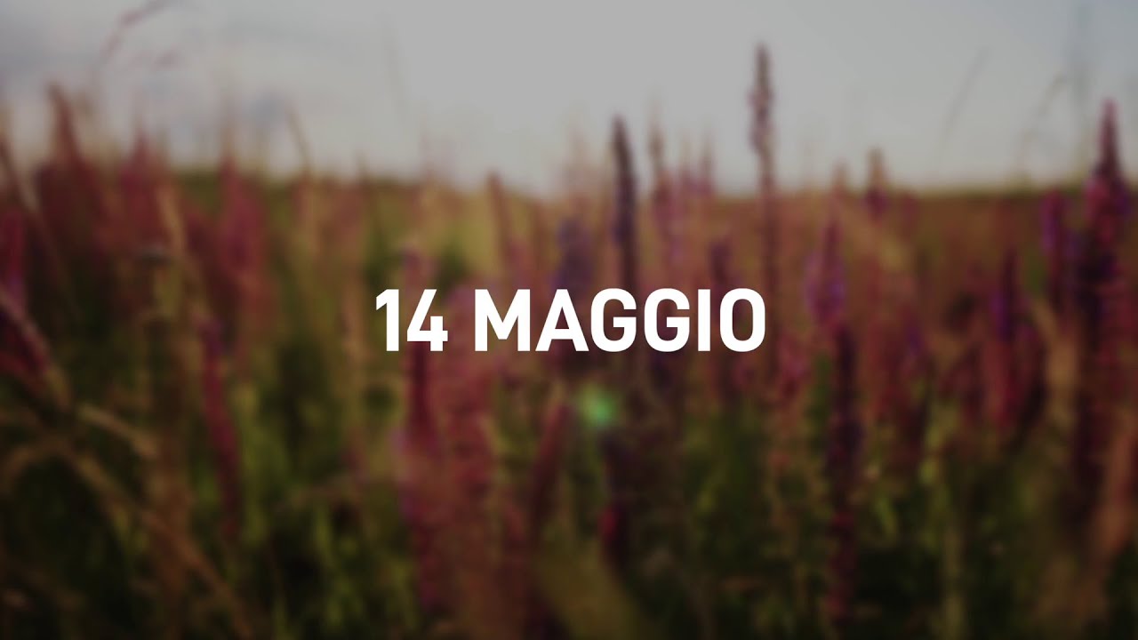 14 Maggio 2025 | Meditazione Parole di Vita