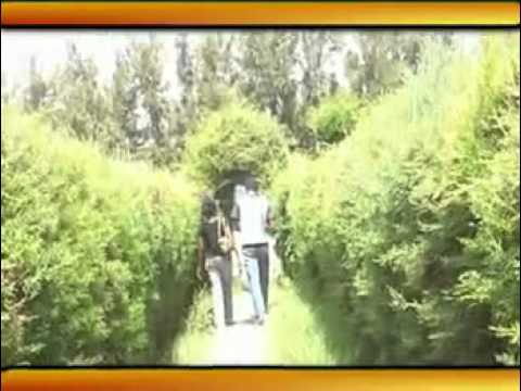 ደስታ ኣብራሃ - ኤልዳ