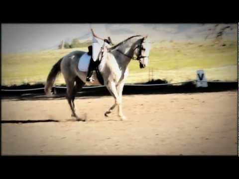 It's now or never; Show!