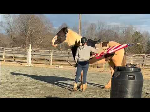 Great Kronos (aka "Tiny")