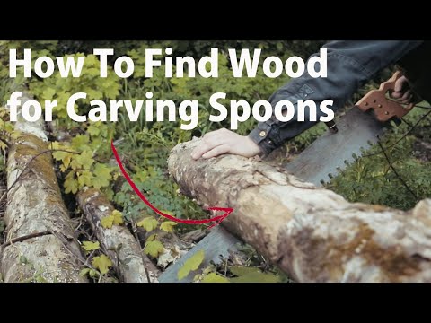 How to Find Green Wood for Spoon Carving