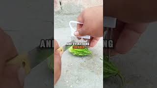 Download lagu #wrg mp3 Download lagu #wrg mp3
