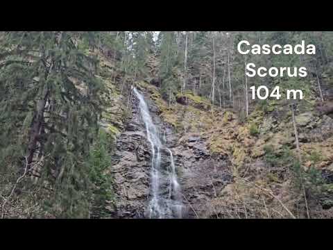 Malaia | Cascada Scorus