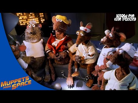 Rizzo Is Forced Into Rat Training | Muppets From Space | Show Me The Funny