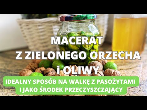 Macerat z zielonego orzecha i oliwy. Idealna mikstura na pasożyty, świetny środek przeczyszczający.