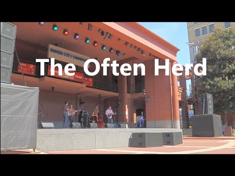 IBMA 2025 - The Often Herd - Chattanooga, TN