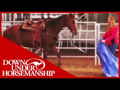 Clinton Anderson Presents: Desensitizing to Plastic Bags