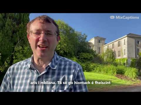 Ballyvourney Cúil Aodha show