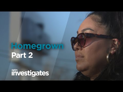 Homegrown – Part 2 | APTN Investigates