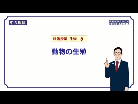動物界における生殖 - 定義