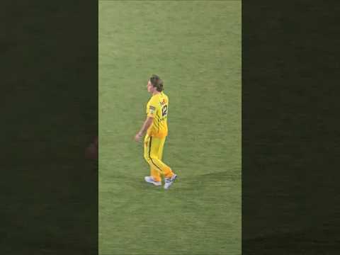 Reel tagged #cricket