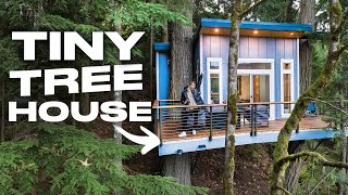 Inside a $300,000 Tiny TREE HOUSE!