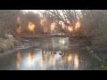 Kinetic Fire: Official Video feat Mimosa