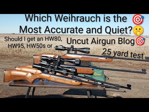 The Most Accurate🎯and Quiet🤫Weihrauch is the HW80, HW95 or HW50s? Uncut Airgun Blog!🎯