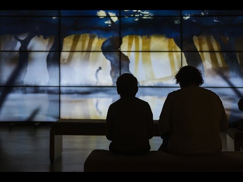 The film KUUMBA UMBO /The Birth of Form/ by Ekaterina Ogorodnikova in the State Hermitage.