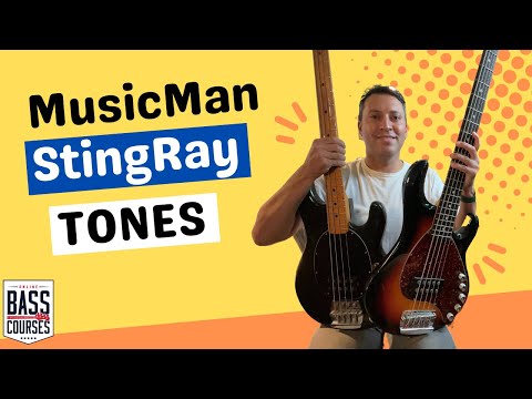 MusicMan StingRay Bass TONES [I LOVE this bass…]