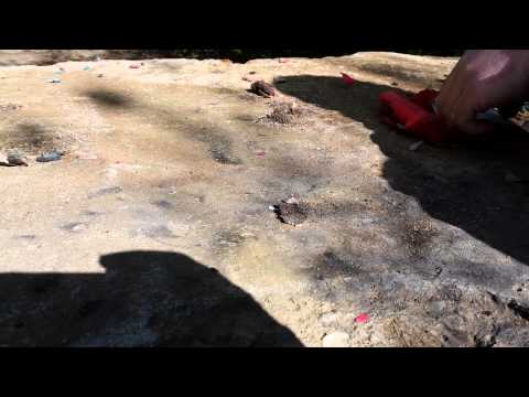 Raritäten - Nico Kevin`s Superböller 1 Vs Weco Superböller 1 Hersteller SQ - Teil 2