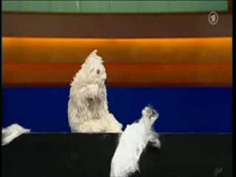 Rene Marik-Kalle auf dem Eisberg (Titanic)