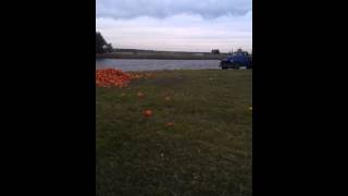 preview picture of video 'Truck + pumpkins=pie'
