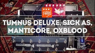 That Pedal Show – Beyond The Klon Centaur: Tumnus Deluxe, Oxblood, Manticore and Sick As Overdrives