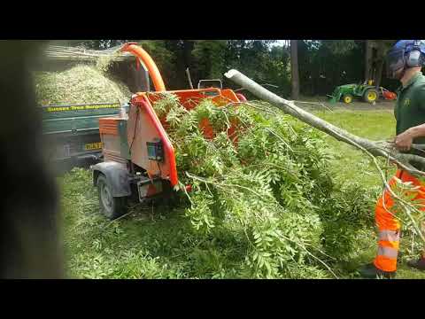 Timberwolf 230 dhb sub 750 In action