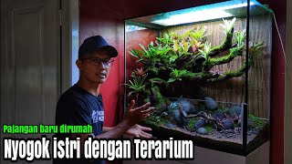 #307 Dilarang istri maen Aquascape,coba bikinin kayak gini dirumah,Auto seneng!!!