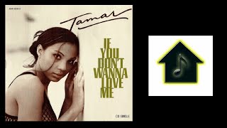 Tamar - If You Don&#39;t Wanna Love Me (Hex Hector Club Mix)