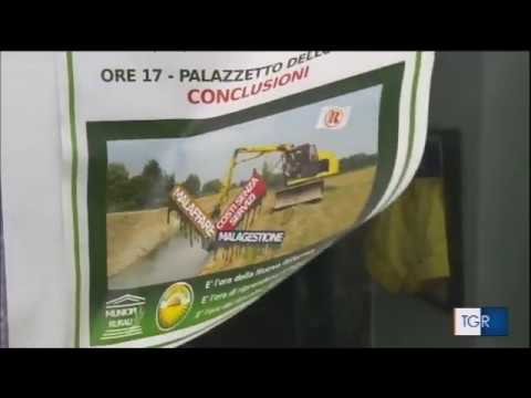 TgR Puglia del 28.01.19 ed. ore 14:00