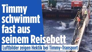 Aufregung in Timmys Reisebett: Helfer arbeiten mit Leine
