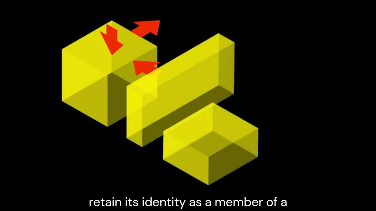 Transformation of Form (Ch 2, pp. 52-73)