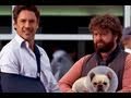 Due Date - Movie Review