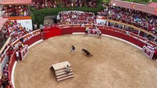 preview picture of video 'Vaquillas - Bullfight with young bulls  Camping Torre La Sal'2'