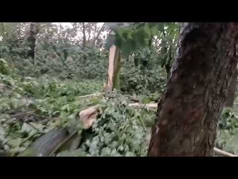 Nevrijeme u Pleternici 19.srpnja 2023.