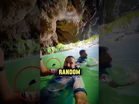 It Followed Them The Whole Time!