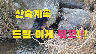 통발낚시 가을철 최고의 고기 잡아서 최고의 안주로 먹어보자/시골농부먹방 시골에 사는 맛