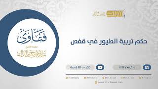 حكم تربية الطيور في قفص - الشيخ عبدالرحمن البراك (12121) image