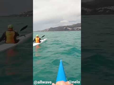 Allwave OC1 Fluctus & nelo 540